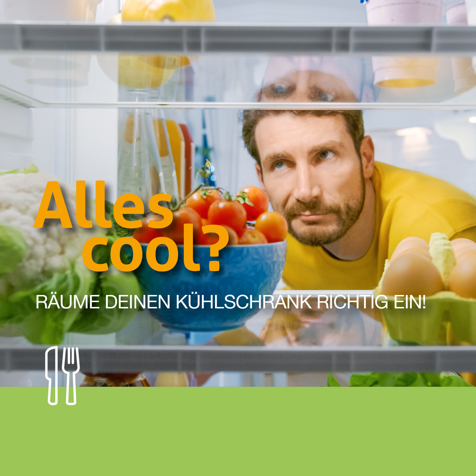 Alles cool? Räume deinen Kühlschrank richtig ein!